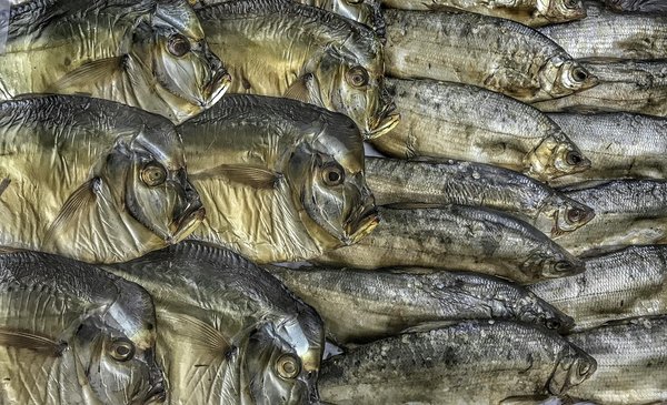 Comment un Régime Riche en Fibres Peut-il Aider à Prévenir le Cancer Colorectal ?