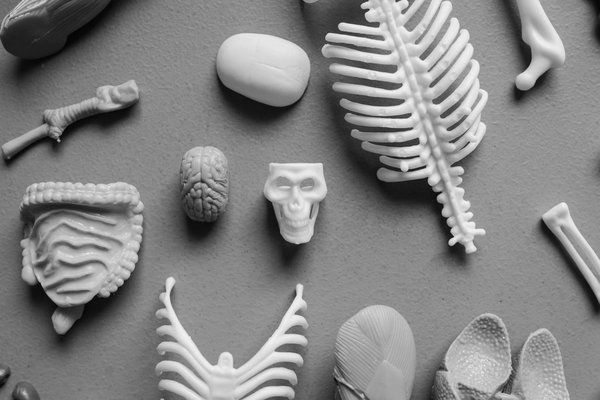 Comment les seniors peuvent-ils pratiquer le bénévolat pour renforcer leur sentiment d'utilité ?